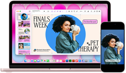 MacBook Neo, blush color, next to iPhone, MacBook Neo screen shows presentation titled Finals Week Pet Therapy with photo of a person holding a guinea pig, iPhone screen shows same photo, which has been turned into a sticker to use in presentation