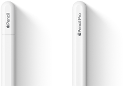قلم Apple&nbsp;Pro وقلم&nbsp;Apple‏&nbsp;(USB‑C) جنباً&nbsp;إلى&nbsp;جنب